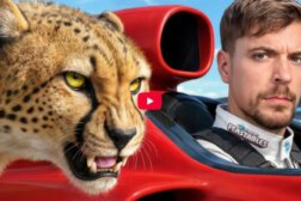 Vidéo – Mr Beast fait se confronter une Formule E à un guépard