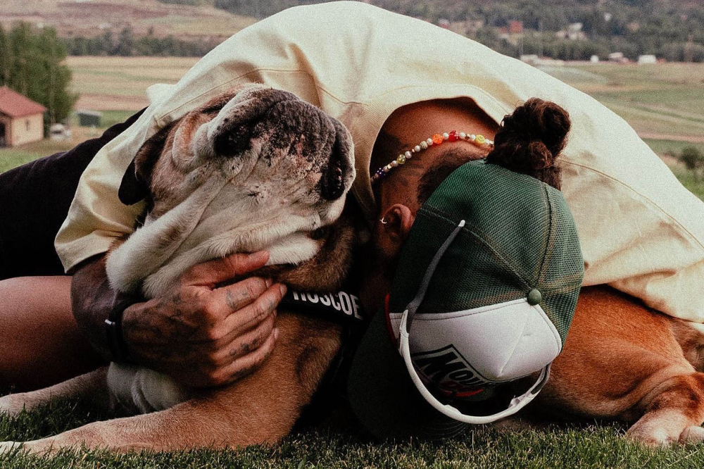 Hamilton annonce le décès de son chien Roscoe