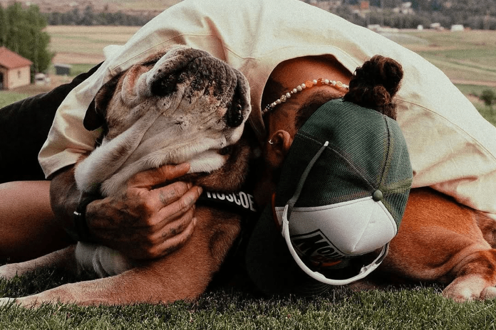 Lewis Hamilton en deuil : son fidèle compagnon Roscoe s’est éteint