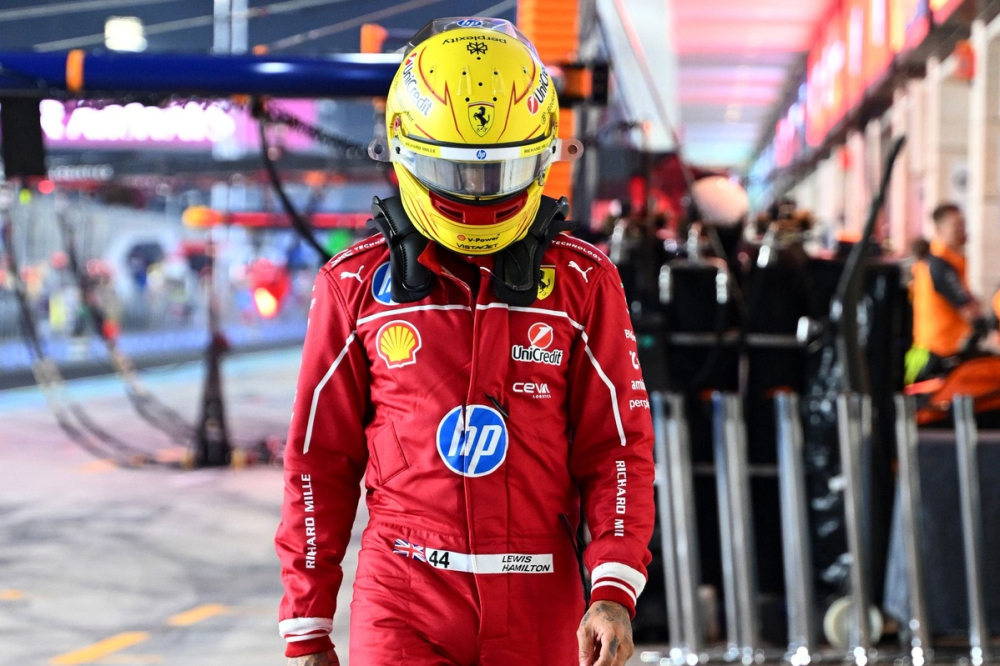 Ému, Hamilton est 