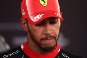 Photo Grand Prix de Hongrie: Hamilton déçu